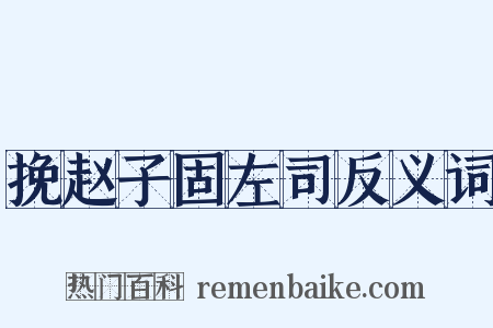 挽赵子固左司反义词是什么意思的图片